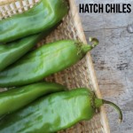 How to Roast Hatch Chiles | 5DollarDinners.com