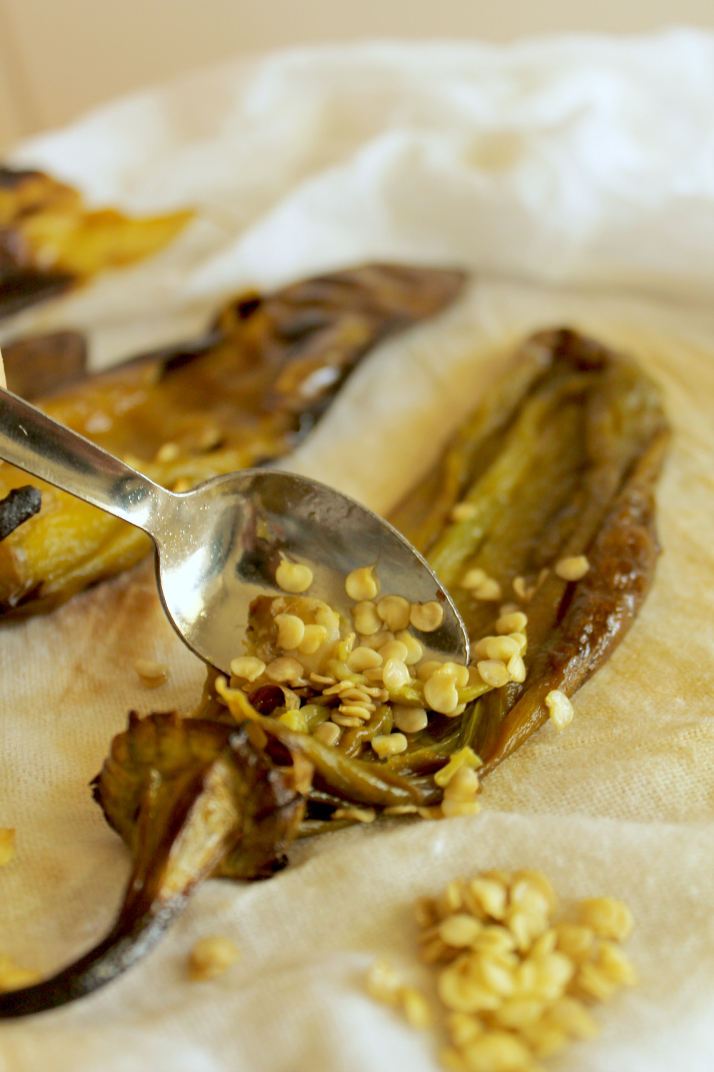 How to Roast Hatch Chiles on $5 Dinners