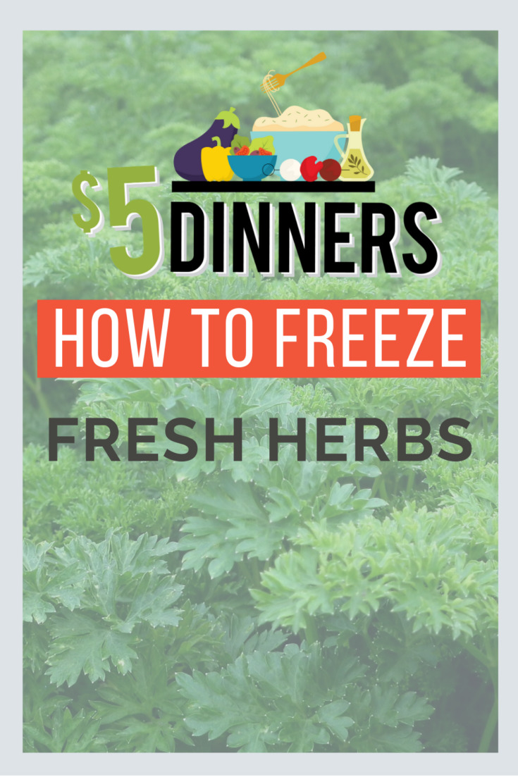 Freezing Herbs & Homemade Spice Mixes 5 Dinners