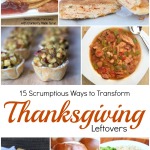 15 Ways to Transform Thanksgiving Leftovers | 5DollarDinners.com