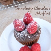 Sourdough Chocolate Muffins | 5DollarDinners.com