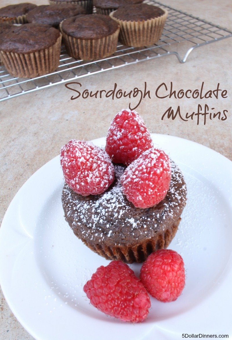 Sourdough Chocolate Muffins | 5DollarDinners.com