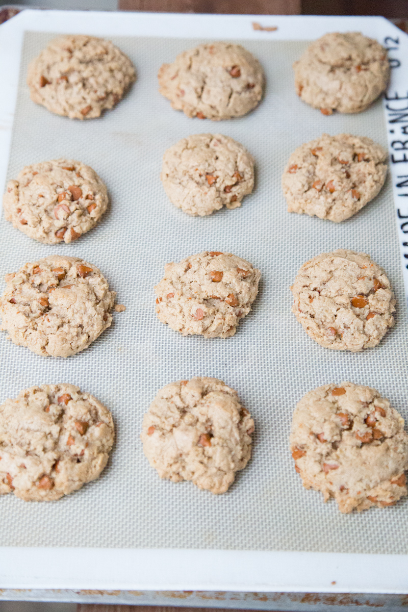 Oatmeal Cinnamon Chip Cookies Recipe | 5DollarDinners.com-2