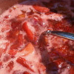 Strawberry Raspberry Rhubarb Jam | 5DollarDinners.com
