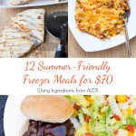 12 Summer Friendly Freezer Meals for $70 from 5DollarDinners.com