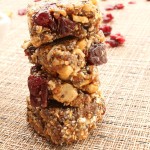 No Bake Chia Cherry Cashew Energy Bites | 5DollarDinners.com