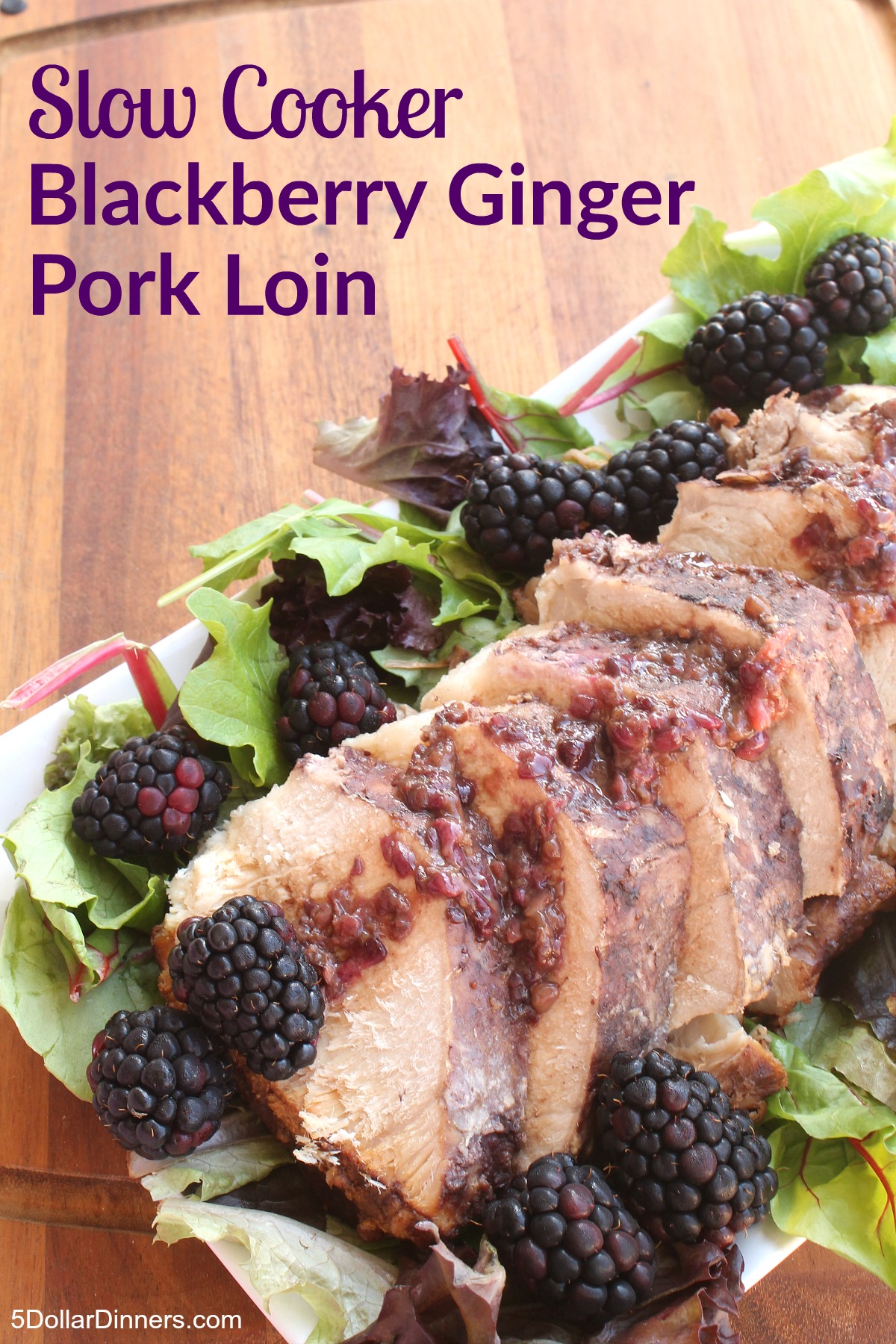 Slow Cooker Blackberry Ginger Pork Loin from 5DollarDinners.com