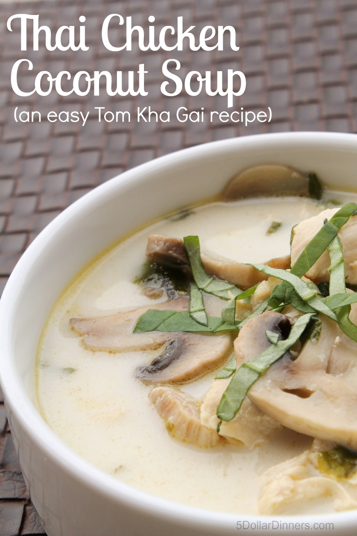 Thai Chicken Coconut Soup Recipe from 5DollarDinners.com