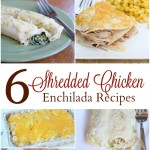 6 Shredded Chicken Enchilada Recipes from 5DollarDinners.com