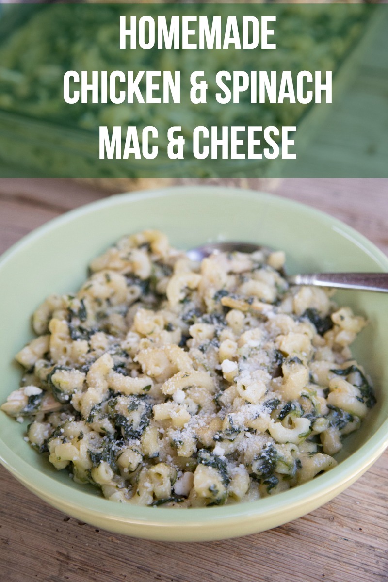 Chicken and Spinach Macaroni n Cheese-3