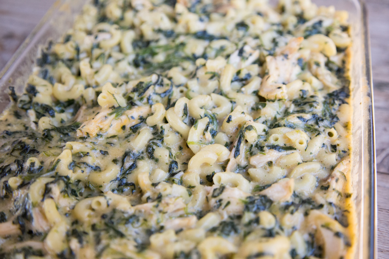 Chicken and Spinach Macaroni n Cheese