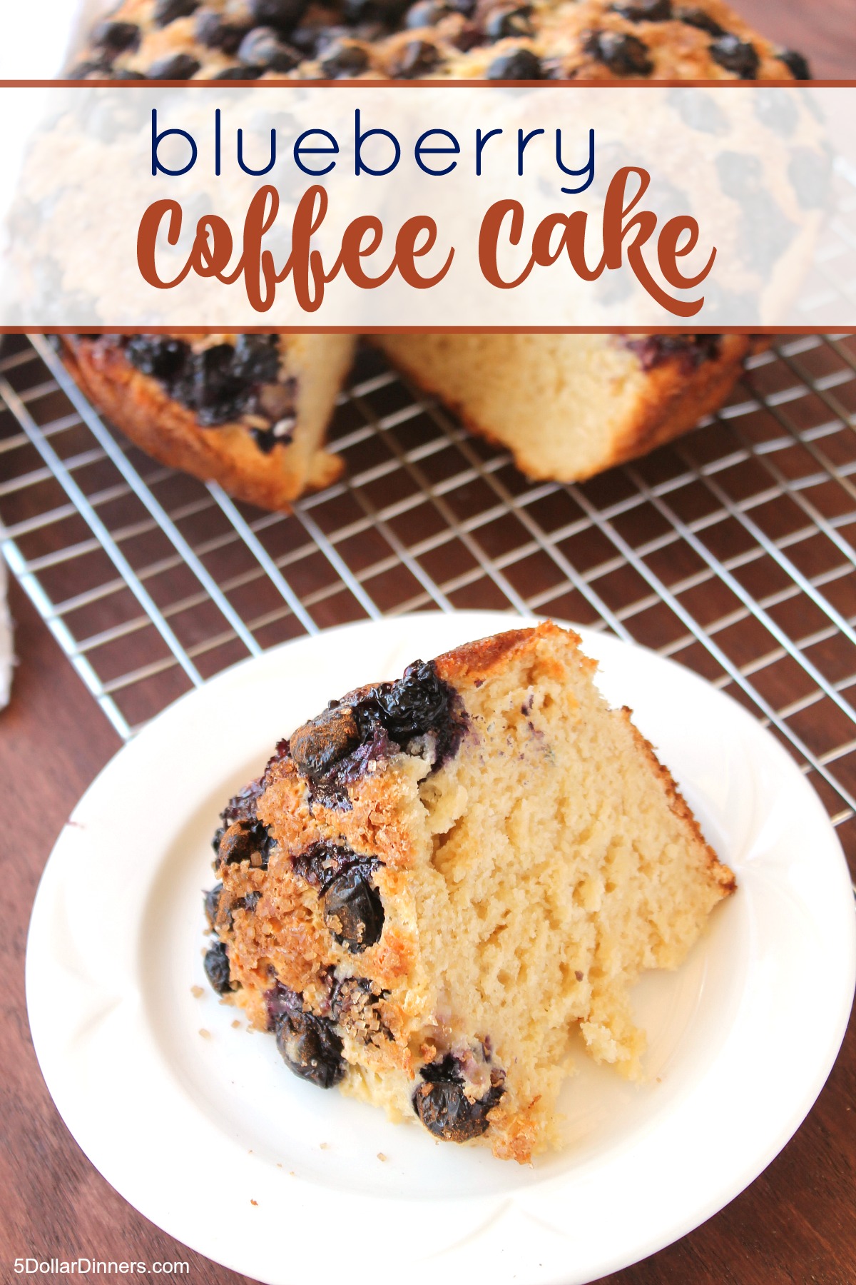 Blueberry Coffee Cake from 5DollarDinners.com