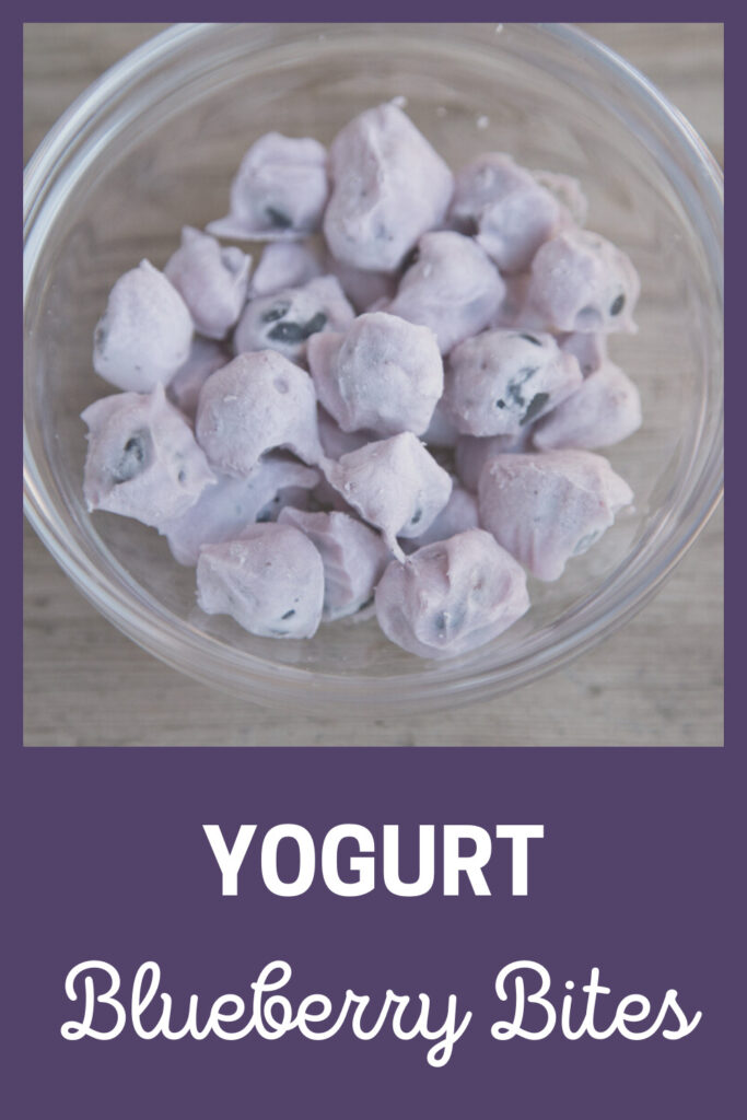 yogurt blueberry bites