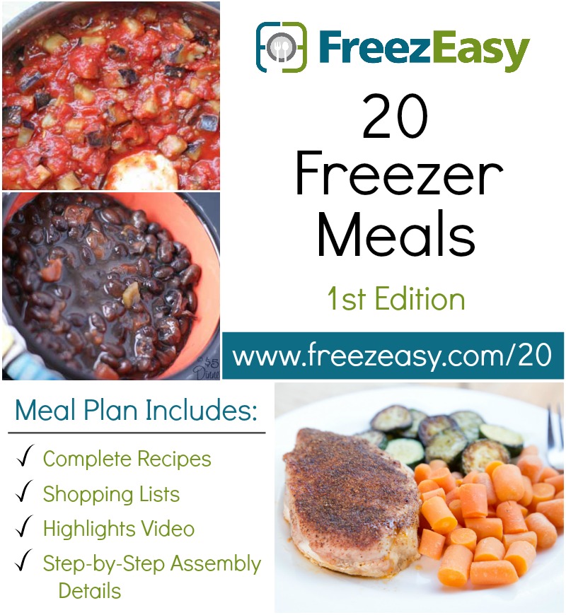 20 Freezer meals Freezeasy ed 1 SQ