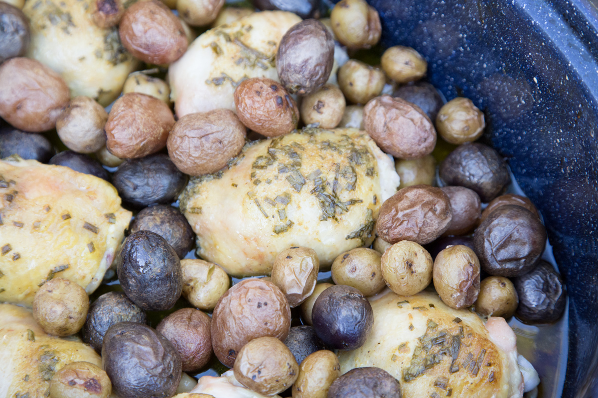 Roasted Chicken & Potatoes with Mustard Chive Sauce-3