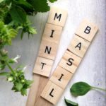 DIY Scrabble Tile Herb Garden Markers Tutorial from 5DollarDinners.com