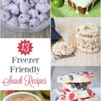13 Freezer Friendly Snack Recipes from 5DollarDinners.com