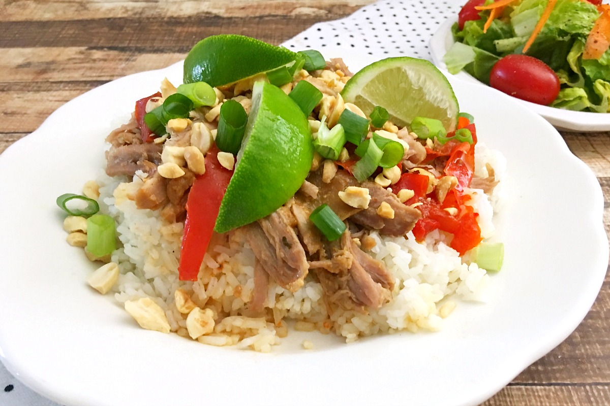 Slow Cooker Shredded Pork with Thai Peanut Sauce from 5DollarDinners.com