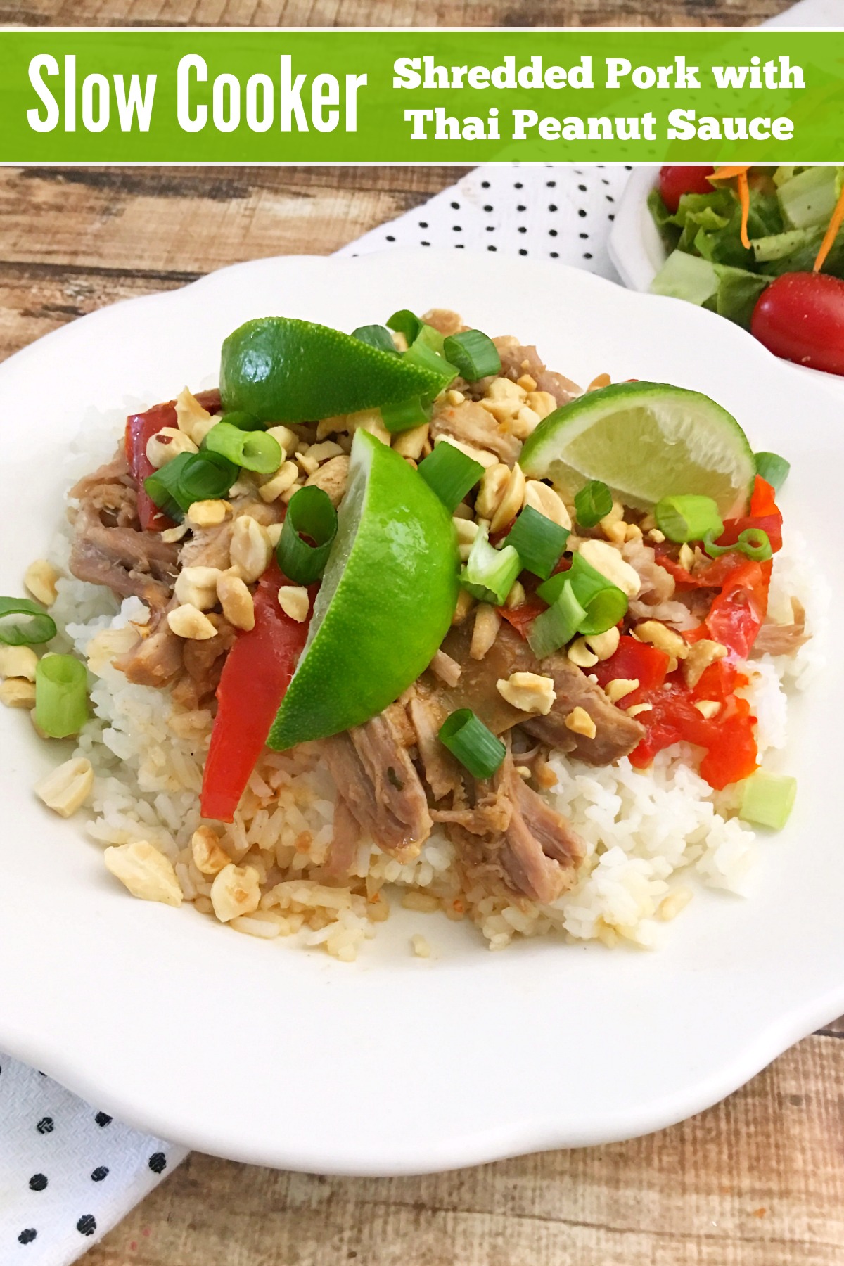 Slow Cooker Shredded Pork with Thai Peanut Sauce from 5DollarDinners.com