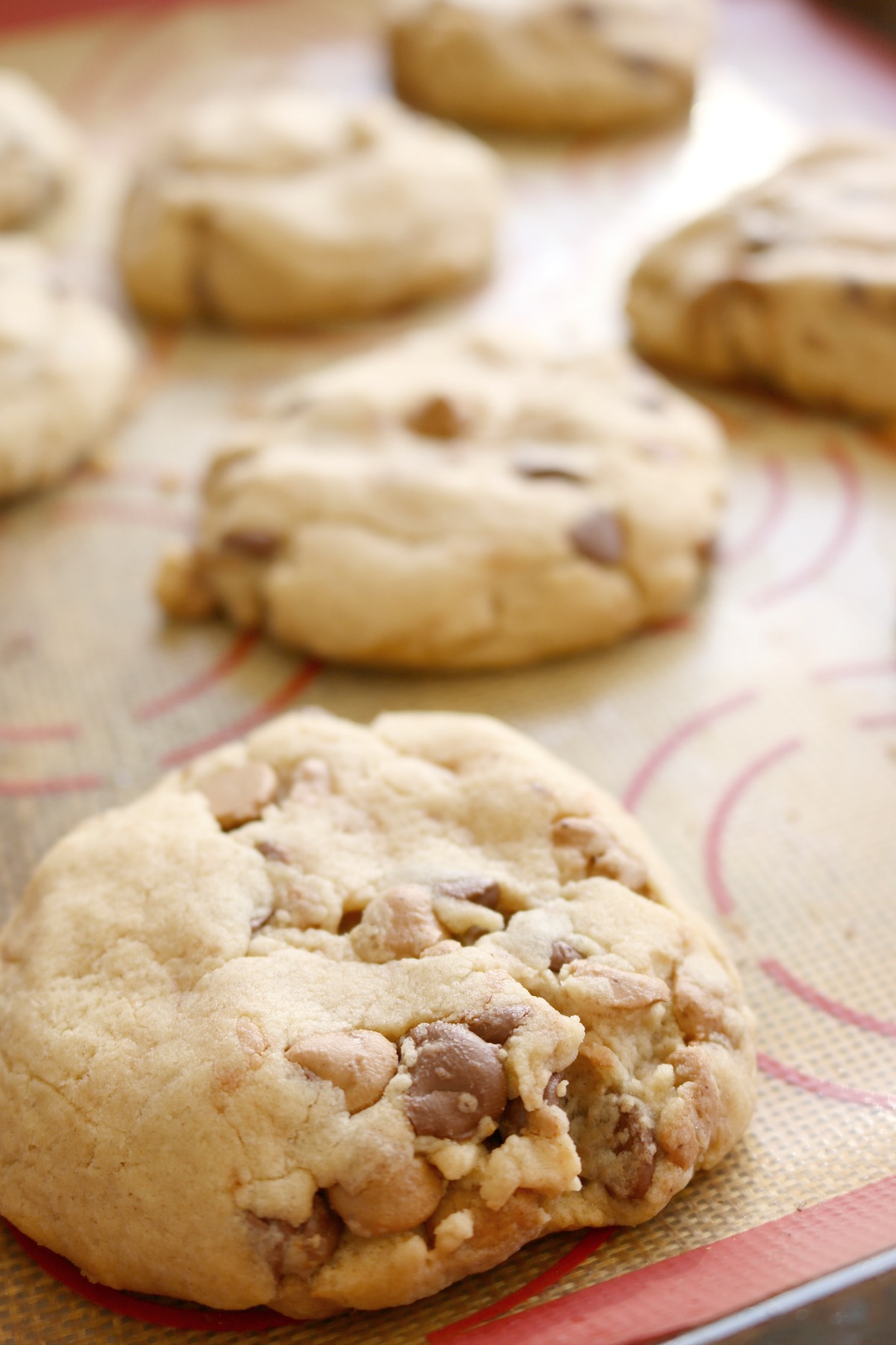 peanut-butter-chocolate-chip-cookies