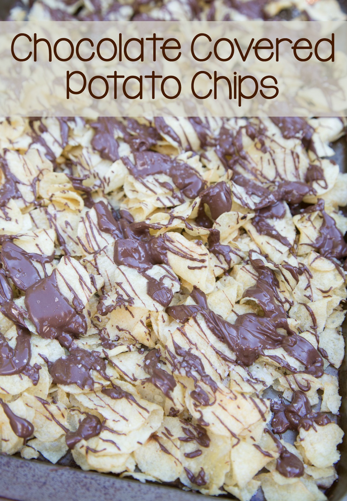 chocolate-covered-potato-chips-on-5dollardinners-com