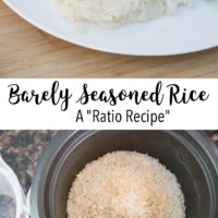 barely seasoned rice