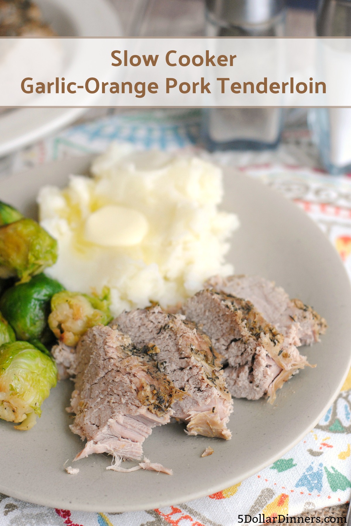 Slow Cooker Garlic-Orange Pork Tenderloin Recipe from 5DollarDinners.com