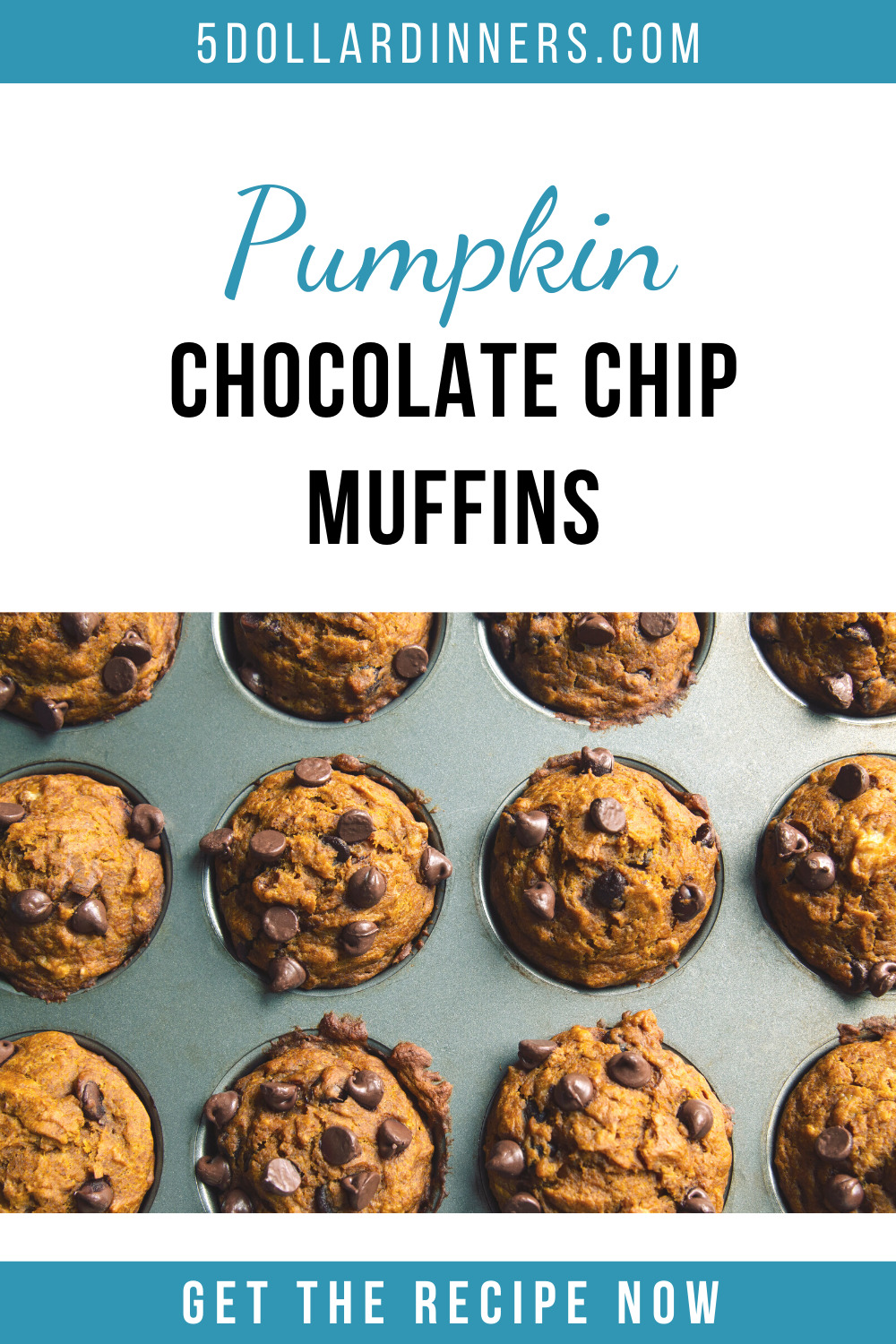 pumpkin chocolate chip muffins