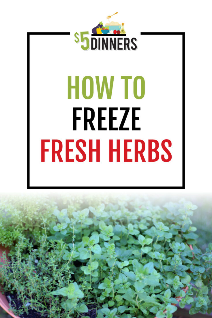 How to Freeze Fresh Herbs on 5 Dinners