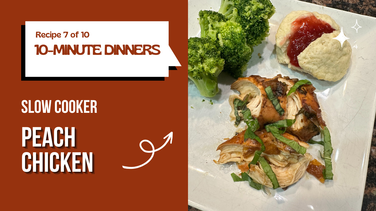 WATCH: 10 Days of 10 Minute Dinners - $5 Dinners | Budget Recipes, Meal