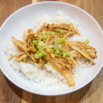 freezer friendly honey ginger pulled pork