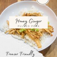freezer friendly honey ginger pulled pork
